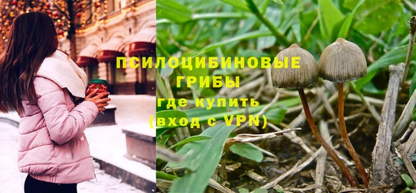 молекула духа Кинешма