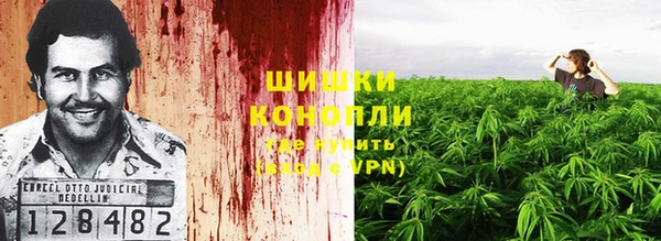 стаф Карталы