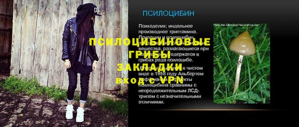 стаф Карталы