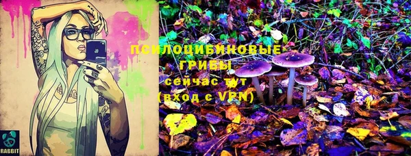 стаф Карталы